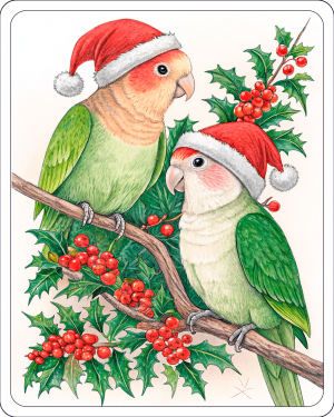 Agapornis De Navidad