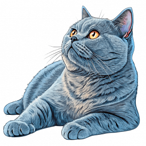 Gatos British Shorthair Azul