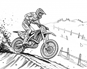 Moto Yamaha Modelo YZ250F Año 2021 Colorear