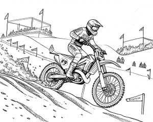 Moto Suzuki Modelo RM-Z450 Año 2008 Colorear