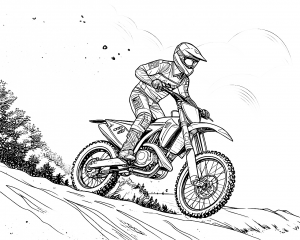 Moto Husqvarna Modelo FC450 Año 2020 Colorear