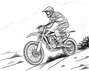 MotoBeta Modelo RX 450 Año 2024 Colorear