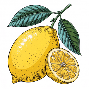 Limón, Citrus X Limón (L.) Osbeck