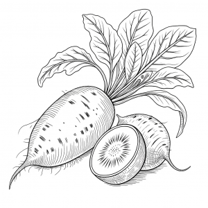 El Yacón (Smallanthus Sonchifolius) Colorear