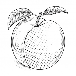 Durazno, Prunus Persica (L.) Batsch Colorear