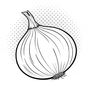 Cebolla, Allium Cepa Colorear