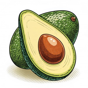 Aguacate, Persea Americana