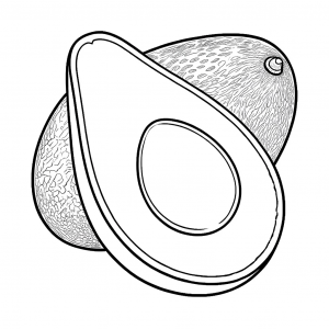 Aguacate, Persea Americana Colorear