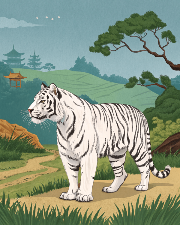 Tigre Blanco, Panthera Tigris