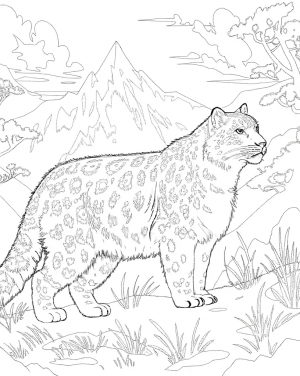 Leopardo De Las Nieves, Panthera Uncia Colorear