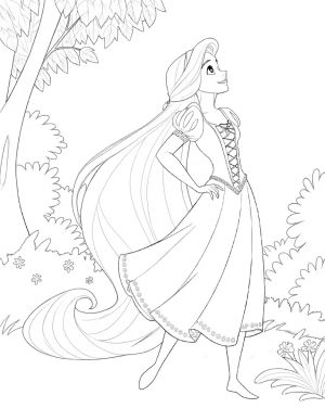 La Princesa Rapunzel, Enredados